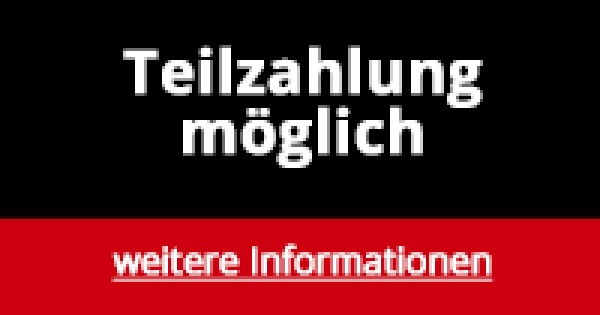 Rottner Dokumententresor EN1 Fire Hero 100 Doppelbartschloss anthrazit T06320